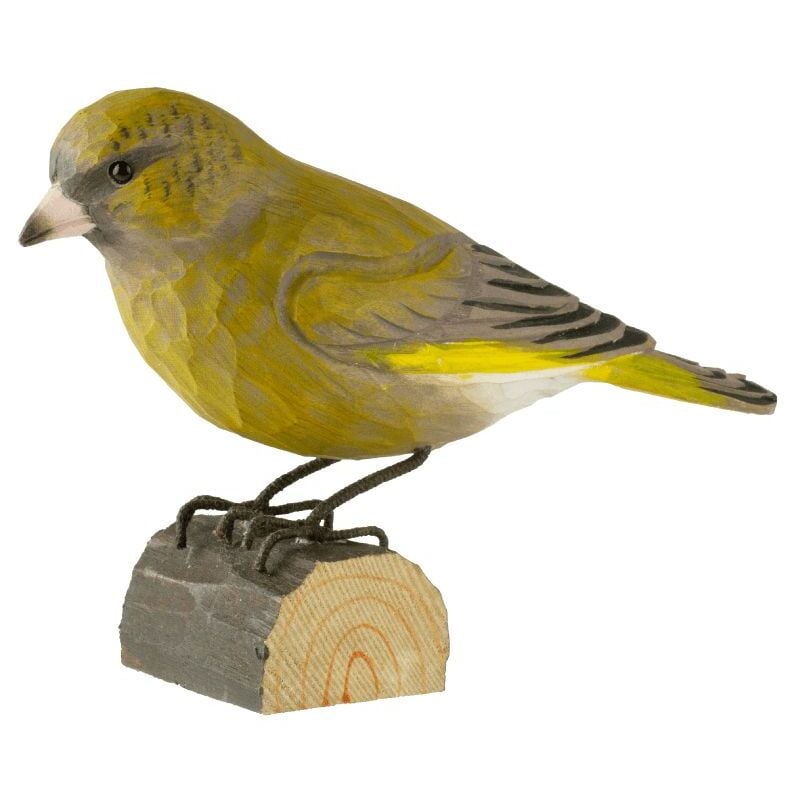 Décobird Verdier d'Europe