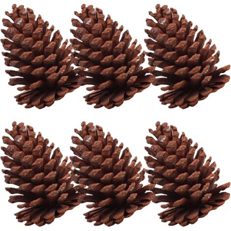 de 6 Pommes de Pin S ch es Naturelles pour D coration DIY D