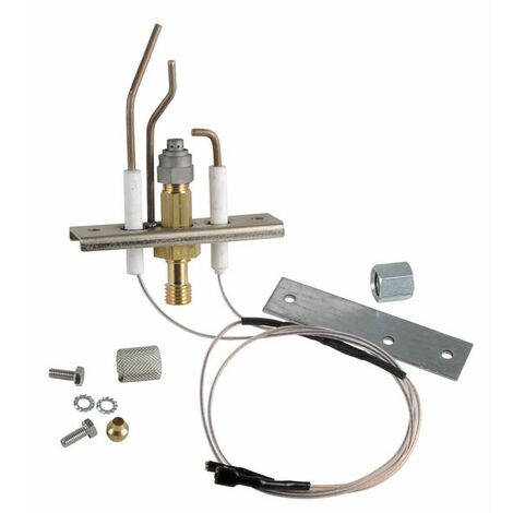 Kit brûleur allumeur DTG 220 ECONOX/II – Remplacement pour chaudières De Dietrich – Performance stable et efficace – Poids 169g
