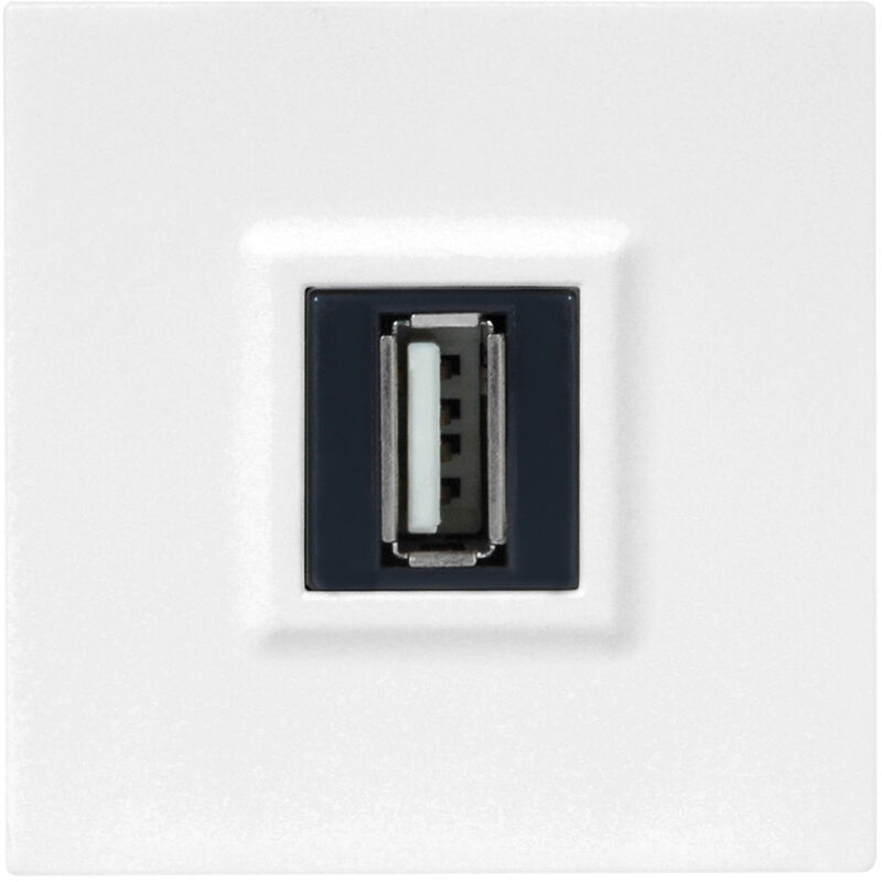 

CASUAL Mecanismo toma USB BLANCO BRILLANTE