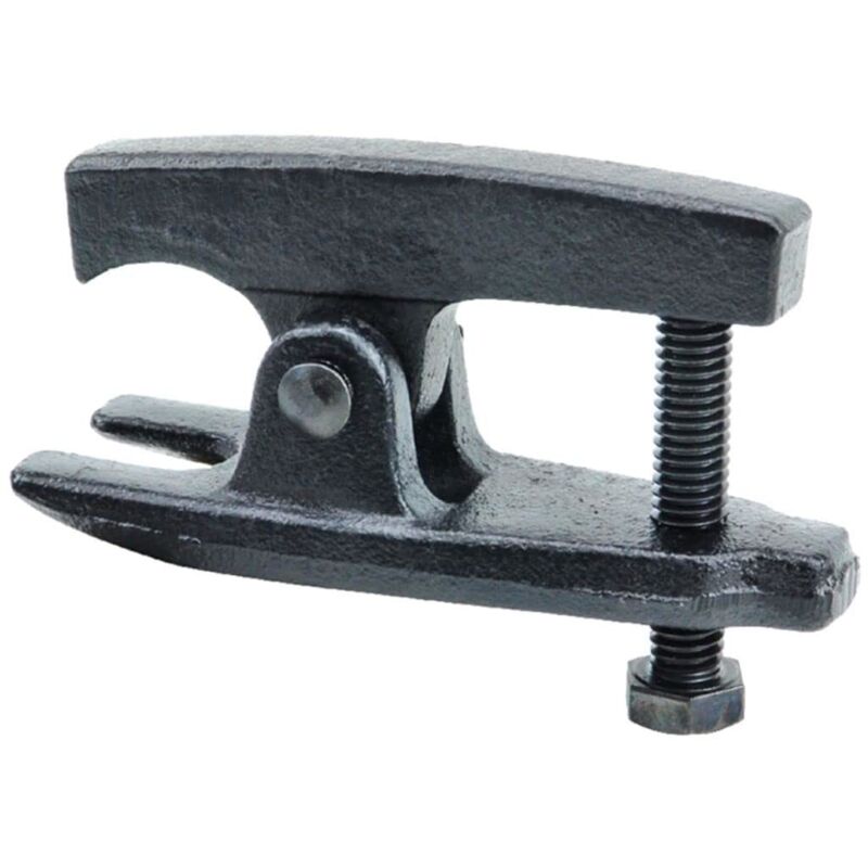 Vorel - 80640 - noeud du levantador du sommet du taillis