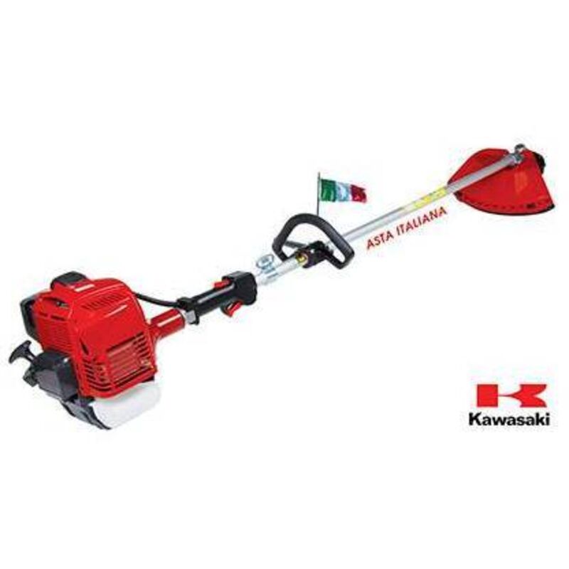 Decespugliatore kawasaki plus Bluebird