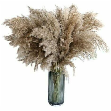 Deckon Pampas Grass 20 piezas 60 cm secado natural ramo de moda de boda flores artificiales para decoración del hogar jarrones de interior