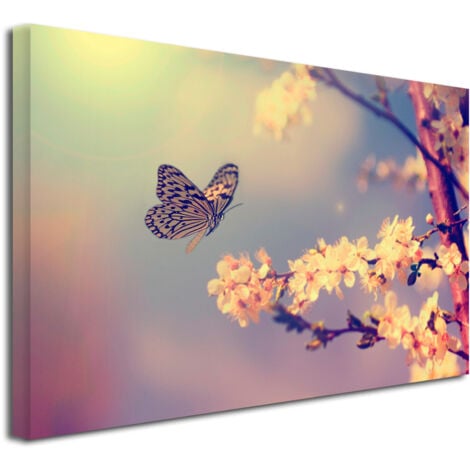 DECLINA, Tableau toile imprimée, animaux, Cadre déco photo Papillons, 50x30 cm