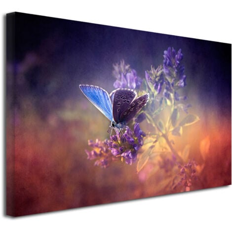 DECLINA, Tableau toile imprimée, animaux, Tableau décoratif Papillons colorés , 50x30 cm