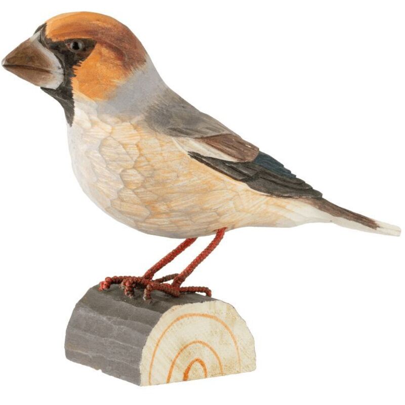 Decobird Gros bec