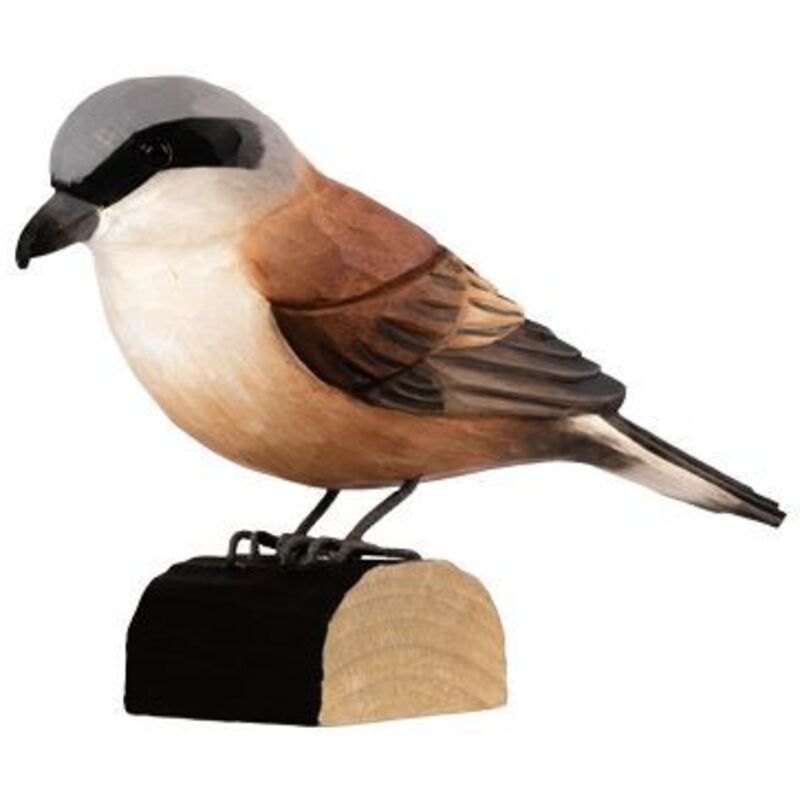 DecoBird Pie-grièche Écorcheur