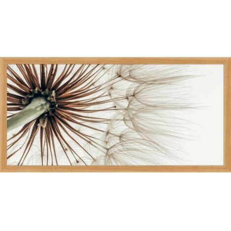 Decoposter Soffione