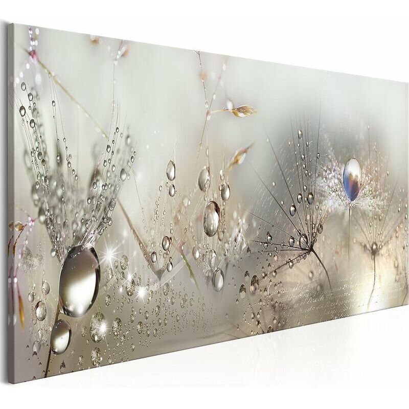 Décor à la maison Impression sur toile Peinture Art mural Perles de rosée à la maison Blowball ，Impression sur toile intissee 90x30 cm ， 1 Piece
