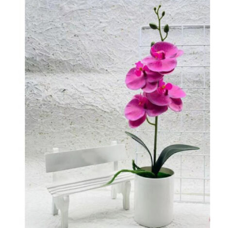 Décor de Phalaenopsis Innovation Vivid Fun en PVC