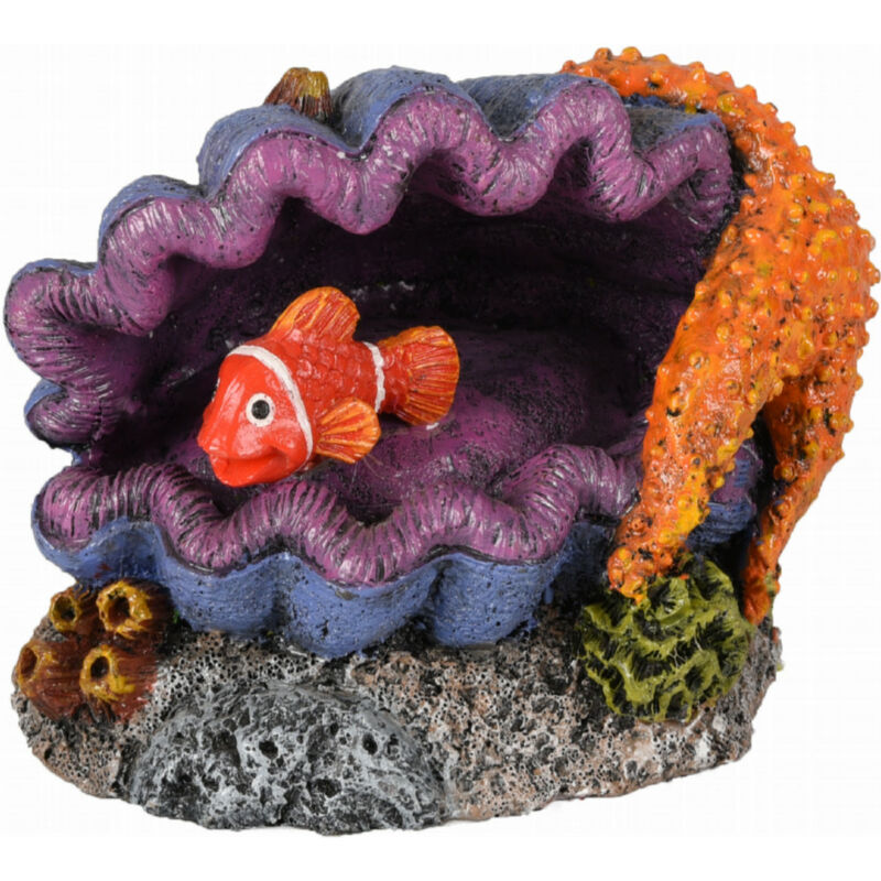 

Decoración leto shell. 12 x 8 x 9 cm. Decoración de acuario.