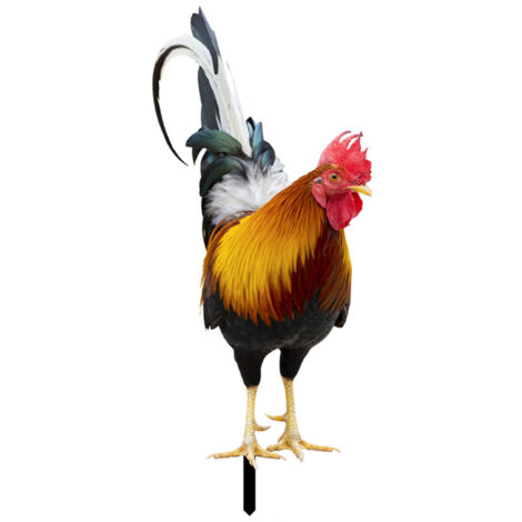 Decoración de jardín robusta con forma de gallo, fabricada en acrílico multicolor, de 25 x 11 cm o 21 x 17 cm, con un peso de 35 g, 45 g o 75 g. Disponible en juegos de 1 o 2 piezas. Ideal como regalo