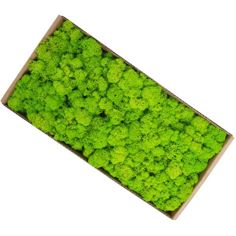 Decoración de pared con musgo [Musgo preservado] 500 g de material natural preservado para jardines en miniatura y diseño de interiores de bajo mantenimiento.