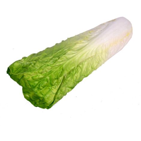 Decoración ensalada de verduras artificial cmø9h35