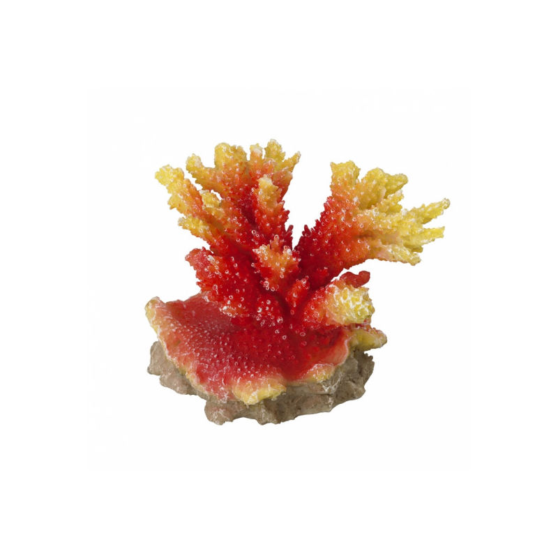 Décoration pour aquarium corail Coraal Acropora Orange/Rouge - Aqua Della
