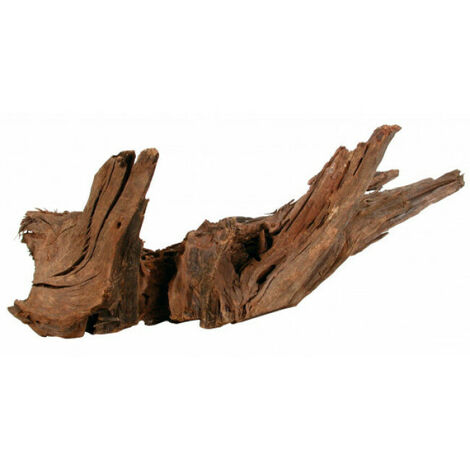 Racine naturelle Mangrove