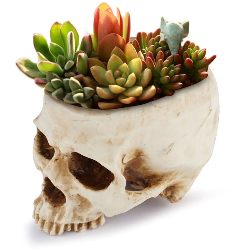 Ensoleille - Décoration d'Halloween Tête de mort rétro Pot de fleurs Pot de fleurs Boîte de lit Décor de bar à la maison