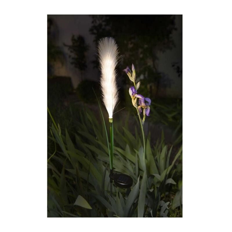 Décoration lumineuse Galix G4515 - Energie solaire : Plumeau