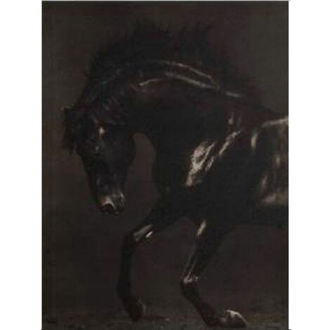Décoration murale noir et blanc thème cheval 50 x 40 cm