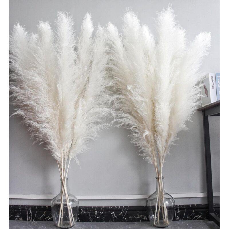 Décoration pampa naturelle (10 tiges, 10 cm), pour mariages, fêtes et intérieurs bohèmes.
