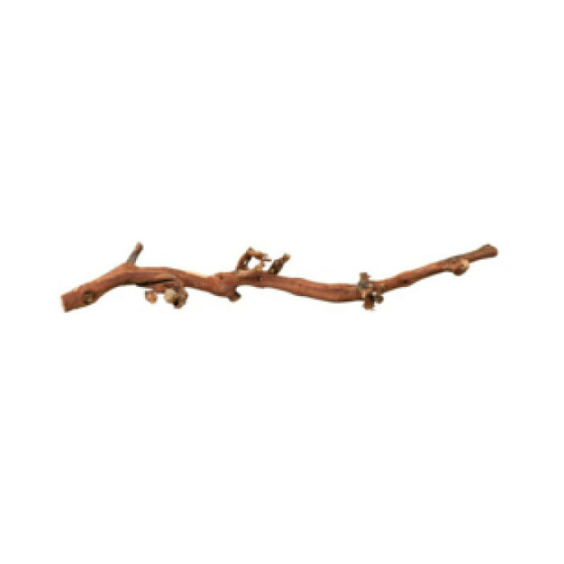 Décoration pied de vigne pour reptiles, oiseaux et rongeurs Trixie Taille XL - 55/80 cm