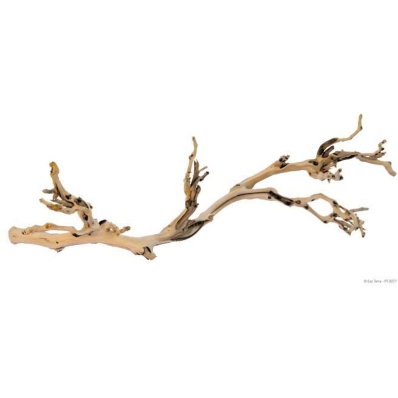 Decoration Pied de vigne sable - Grand modele - Pour terrarium - Exo Terra