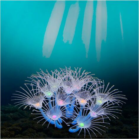 Décoration d'eau pour Aquarium, moulin à vent, réservoir de