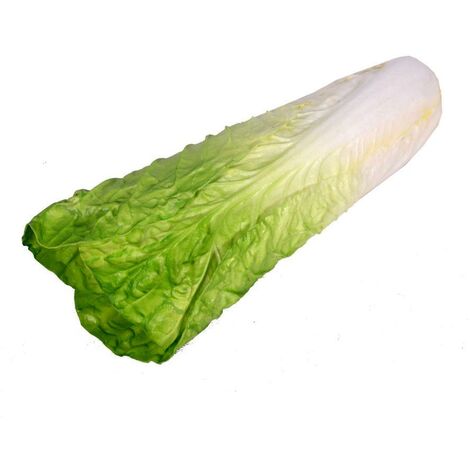 Décoration salade de légumes artificielle cmø9h35