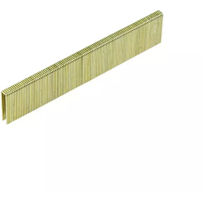 Dedra A536130, Grapa para Herramientas, Ideal para Reparación y Fijación, Alta Resistencia, Compatible con Diversas Aplicaciones de Trabajo.