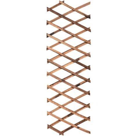 DEESSE SHOP-Grille de Jardin Extensible pour Plantation - Support de clôture - 200 x 30 cm