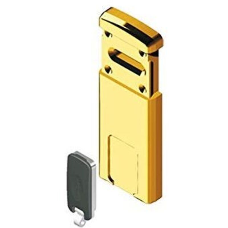 Defender Magnetico Mg220 Disec Dm Mm 110x55 Ottone Lucido