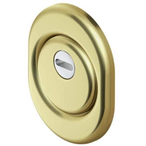 DEFENDER MONOLITO OTTONE PVD A VITE PER CILINDRO EUROPEO H 20 DISEC