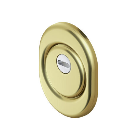 DEFENDER MONOLITO OTTONE PVD A VITE PER CILINDRO EUROPEO H 20 DISEC