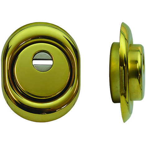 DEFENDER MONOLITO OTTONE PVD A VITE PER CILINDRO EUROPEO H 25 DISEC