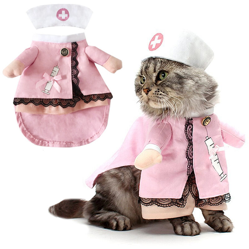 Déguisement d'infirmière pour animaux de compagnie pour Halloween, tenue créative pour chien debout...