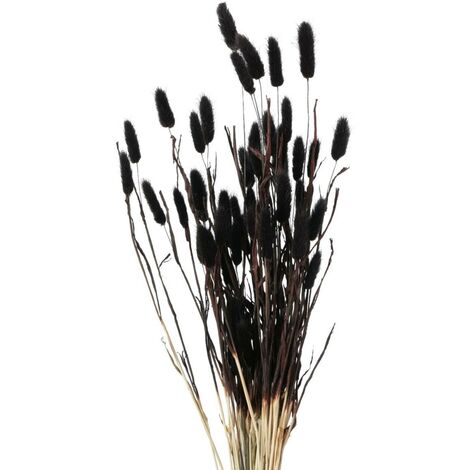 Deko-Zweige für Vase, getrocknet, 70 cm