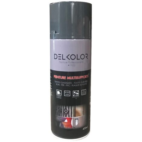 Delkolor Peinture en Aérosol - Couleurs RAL - 400ml  Couleur: RAL 7011 GRIS FER