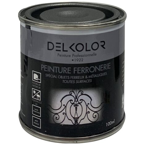 Delkolor Peinture Spéciale Ferronnerie - 100ml Couleur: Noir