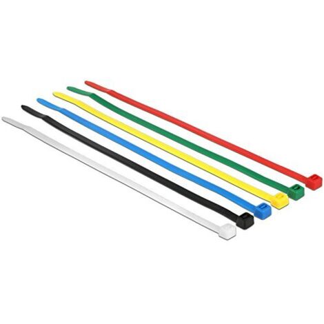 Delock 18626 Assortimento di fascette per cavi Nero, Blu, Verde, Rosso, Trasparente, Giallo 100 pz.