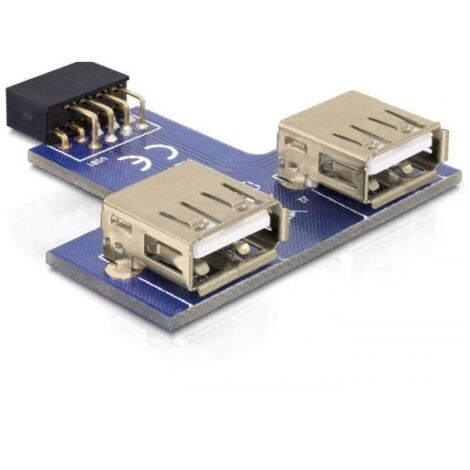 DeLOCK 9-pin 2.54 mm/2 x USB 2.0