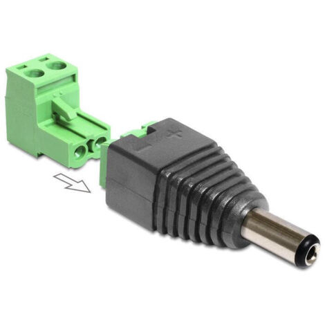 Delock Adapter Dc 2.1 X 5.5 Mm Male  Terminal Block 2 Pin 2-