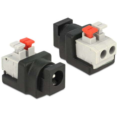 Delock Adattatore DC 2.1x5.5mm Femmina Terminal Block 2 pin con Pulsante
