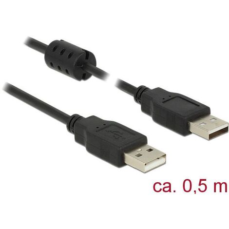 Delock Câble USB USB 2.0 USB-A mâle, USB-A mâle 0.50 m noir avec noyau en ferrite 84888 C697501