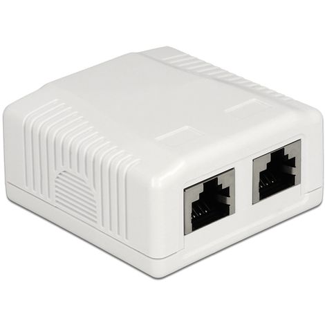 DeLOCK Delock 86197 - 2 x RJ-45 - Blanc - TIA-568A/B - 59 mm - 61 mm - 29,5 mm