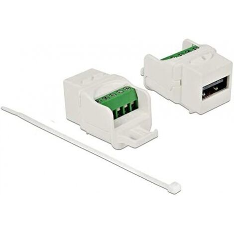 Delock Keystone USB2.0 A Buchse &gtTerminalblock weiß