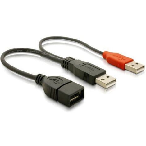 DeLOCK Y-Kabel 2 x USB 2.0 Typ-A Stecker  1 x USB 2.0 Typ-A Buchse 20 cm (65306)