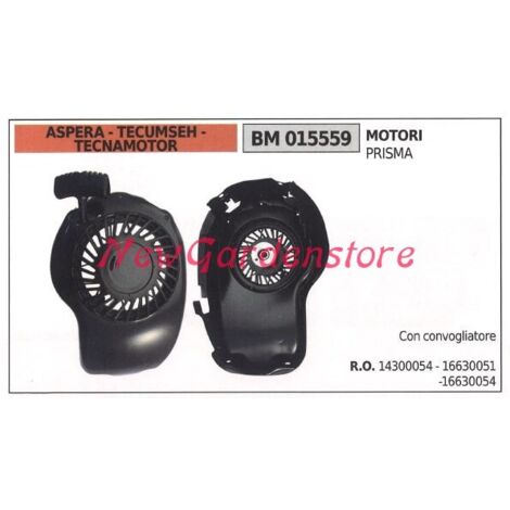 Démarrage ASPERA moteur tondeuse à gazon PRISMA 015559