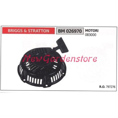 Démarrage du moteur de la tondeuse à gazon BRIGGS & STRATTON 026970