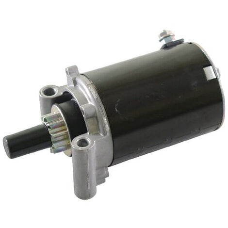 Démarreur KOHLER 2509807S