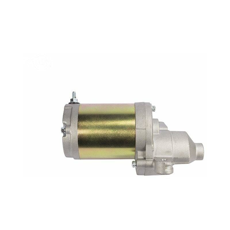 Démarreur pour MTD 751-12207 - 951-12207 - 75112207 - 95112207